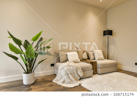 a living room with a couch, chair and plant in the corner on the right hand side of the room 108715174
