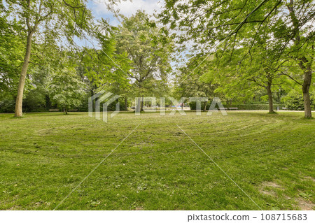 an empty park in the middle of town, with lots of green grass and trees on both sides there is a bright blue sky 108715683