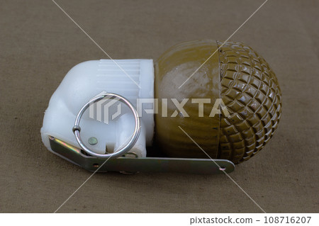 Soviet hand grenade RGO on khaki canvas 108716207