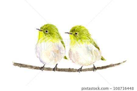 一雙白眼睛的水彩插圖 108716448