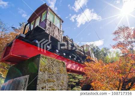 Autumn leaves and Sakagawa Railway's forest railway locomotive (Nakatsugawa City, Gifu Prefecture) Autumn leaves and Sakagawa Railway's forest railway locomotive (Nakatsugawa City, Gifu Prefecture) 108717356