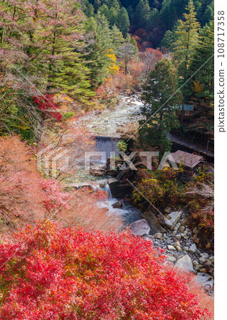 湯森溪谷的紅葉（岐阜縣中津川市） 108717358