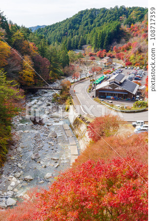 Autumn leaves in Yumori Valley (Nakatsugawa City, Gifu Prefecture) Autumn leaves in Yumori Valley (Nakatsugawa City, Gifu Prefecture) 108717359