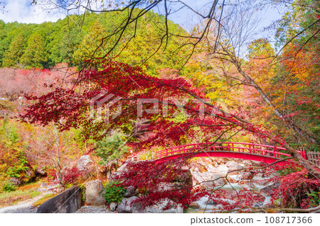 Autumn leaves and red Momiji Bridge at Yumori Park (Nakatsugawa City, Gifu Prefecture) Autumn leaves and red Momiji Bridge at Yumori Park (Nakatsugawa City, Gifu Prefecture) 108717366