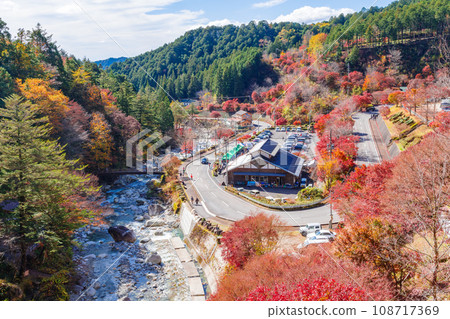 湯森溪谷的紅葉（岐阜縣中津川市） 108717369