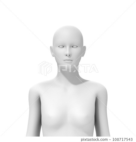 female body, naked, 3D model female body, naked, 3D model 108717543