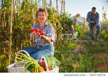 Smiling aged woman holding vegetables grown in home garden Smiling aged woman holding vegetables grown in home garden 108718059