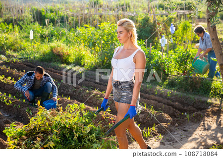 Young woman carrying wheelbarrow with uprooted plants in garden Young woman carrying wheelbarrow with uprooted plants in garden 108718084