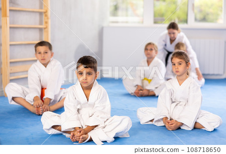 Young karate students perform butterfly 108718650