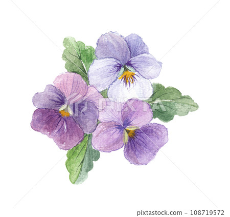 中提琴畫水彩 108719572