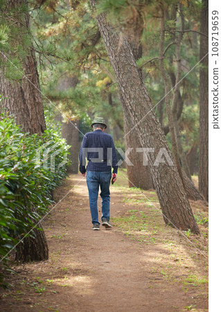 A senior man taking a walk on a forest path in Senbonhama Park in Numazu 108719659