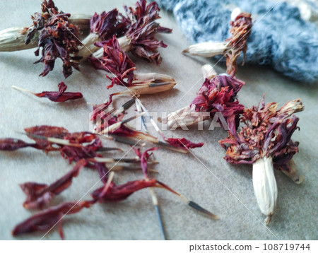 Dried marigold flowers and seeds-1 108719744