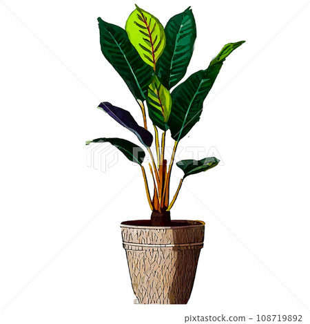 Illustration of basil planted in a flowerpot 108719892