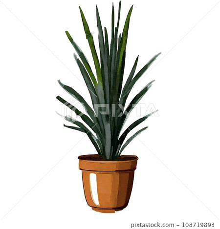 Cycad in a flowerpot ornamental plant illustration 108719893
