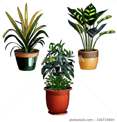 round cactus illustration round cactus illustration 108719894