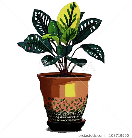 盆中多肉植物的插圖 108719900