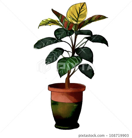 Yellow leaves in a vase foliage plant illustration Yellow leaves in a vase foliage plant illustration 108719903