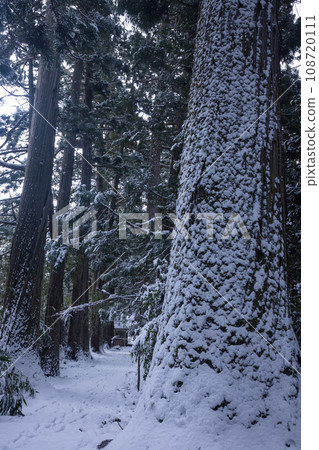 [Niigata Prefecture, Sado, Kiyomizu Temple] Snowy approach to the shrine, winter edition 108720111