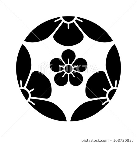 Plum blossoms on a three-split plum Plum blossoms on a three-split plum 108720853