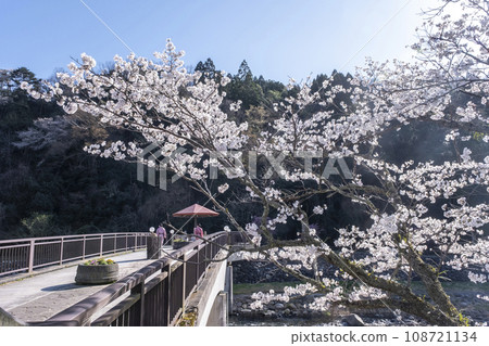 Misasa溫泉的春天風景 108721134