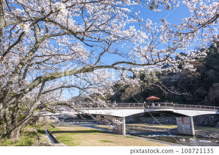 Spring scenery of Misasa Onsen 108721135