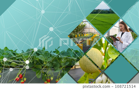 Photo collages of diverse plants, crops aesthetics and researcher. Photo collages of diverse plants, crops aesthetics and researcher. 108721514