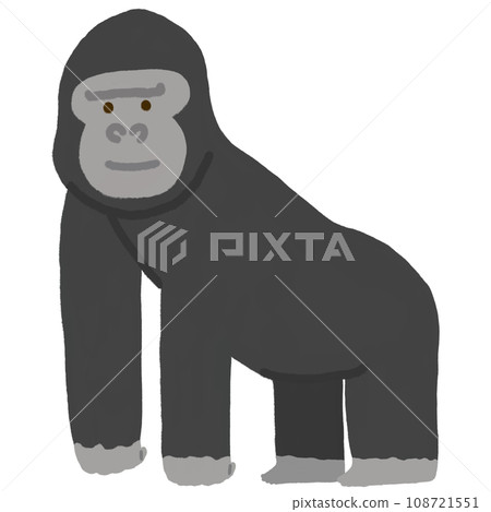 Gorilla Gorilla 108721551