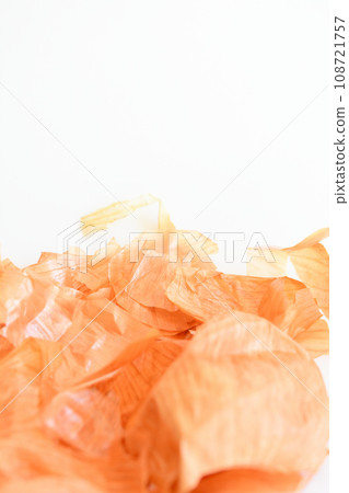 Onion skin with white background 108721757