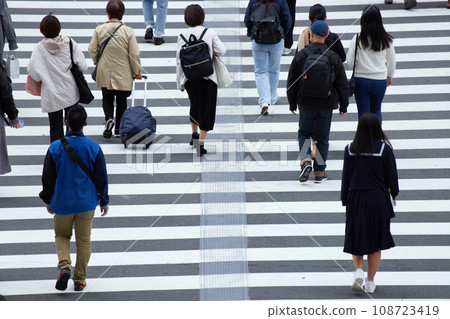 People crossing a crosswalk at a city intersection 108723419