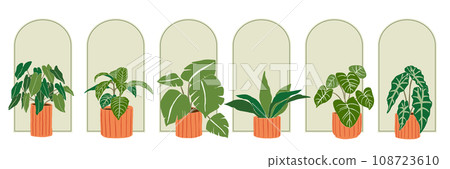 Beautiful houseplant decoration illustration set Beautiful houseplant decoration illustration set 108723610