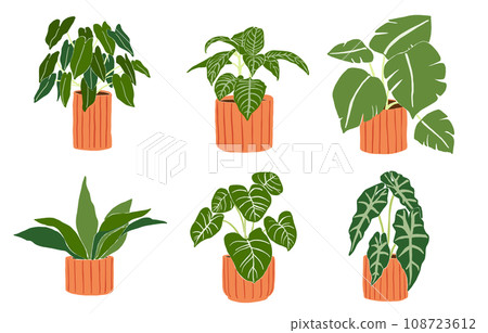 Beautiful houseplant decoration illustration set Beautiful houseplant decoration illustration set 108723612