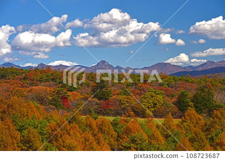 八岳牧場公園秋葉景觀 108723687