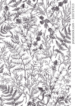 Forest seamless pattern. Vertical. Vegetable background with conifers, ferns, cones, berries. Botanical illustration. Art line style. Black. Outline, no fill. Forest seamless pattern. Vertical. Vegetable background with conifers, ferns, cones, berries. Botanical illustration. Art line style. Black. Outline, no fill. 108724313