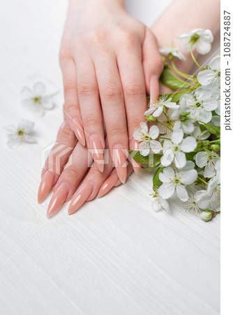 Elegant pastel pink natural manicure. Elegant pastel pink natural manicure. 108724887