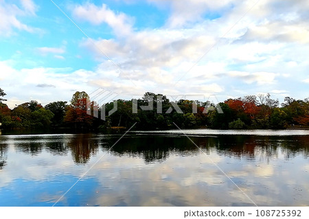 秋天的服部綠地公園 秋天的服部綠地公園 108725392