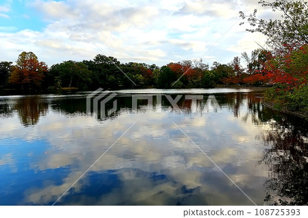 秋天的服部綠地公園 秋天的服部綠地公園 108725393