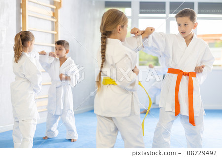 Children in kimono practicing karate in sports gym. Martial arts training session Children in kimono practicing karate in sports gym. Martial arts training session 108729492