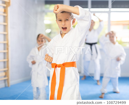 Kids during karate training. Martial arts. Active lifestyle concept Kids during karate training. Martial arts. Active lifestyle concept 108729499