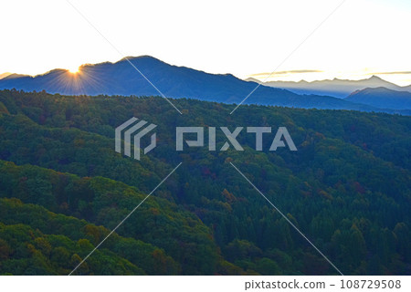 八嶽山麓的秋葉在朝陽下 八嶽山麓的秋葉在朝陽下 108729508