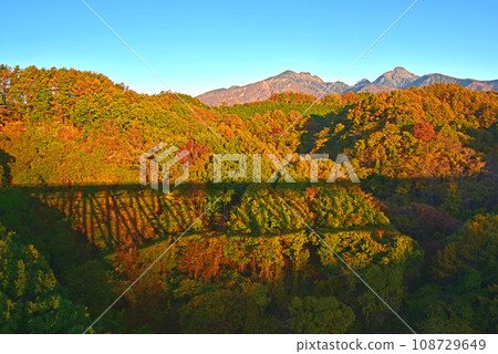 Yatsugatake with autumn leaves in the morning sun 108729649