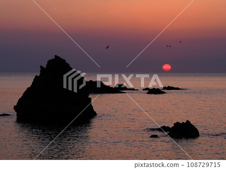 Sunset over the Sea of Japan, Niigata Prefecture. It was beautiful, with the red sun shining on it, the silhouette of the rocks floating in the pink sea, and seabirds dancing in the sky. 108729715