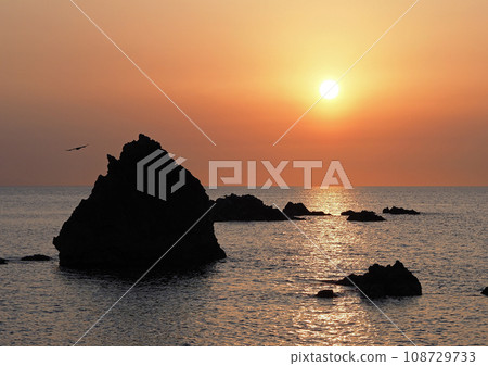 Evening view of the Sea of Japan, Niigata Prefecture. The sun shines in the orange sky, and the silhouettes of the rocks and seabirds are impressive and beautiful. 108729733