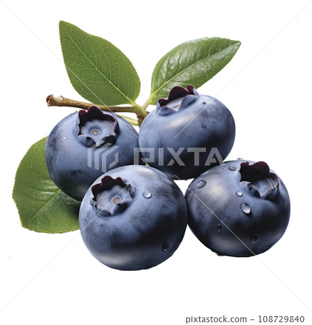 tasty dark blue blueberries isolated tasty dark blue blueberries isolated 108729840
