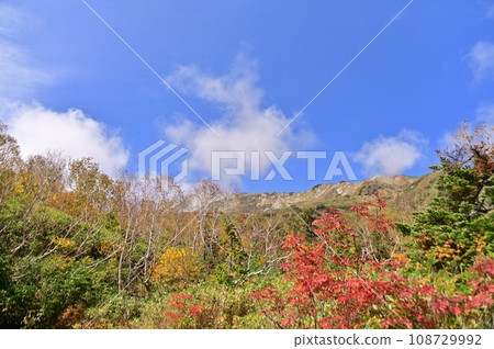 白馬三山腳下的梔池自然公園，樹葉已經開始變秋 108729992