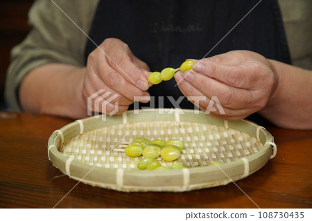 A woman putting a ginkgo on a toothpick 108730435