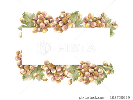 Watercolor rectangular frame, bunch of green grapes leaves and grape berry Grapevine label hand painted illustration for card, wine list, invitation, restaurant, bar print Isolated on white background Watercolor rectangular frame, bunch of green grapes leaves and grape berry Grapevine label hand painted illustration for card, wine list, invitation, restaurant, bar print Isolated on white background 108730659