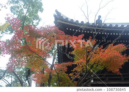 Itami Konyoji bell tower and colored autumn leaves-9 Itami Konyoji bell tower and colored autumn leaves-9 108730845