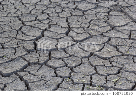 The ground has cracks in the top view for the background or graphic design with the concept of drought and death 108731050
