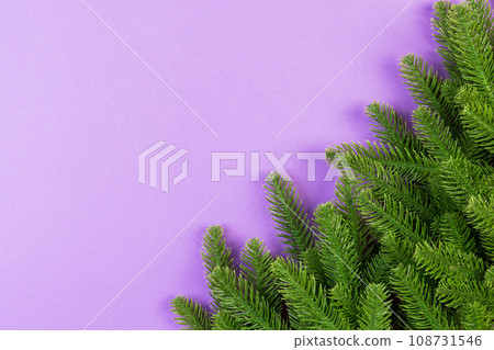 Top view of frame made of fir tree on colorful background with copy space. Merry Christmas concept Top view of frame made of fir tree on colorful background with copy space. Merry Christmas concept 108731546