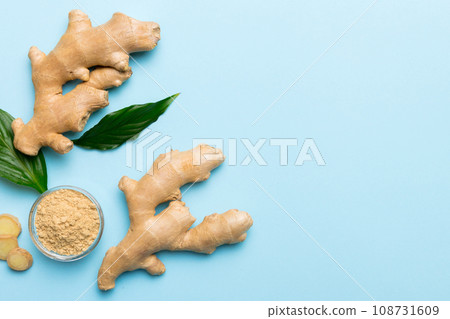 Finely dry Ginger powder in bowl with green leaves isolated on colored background. top view flat lay Finely dry Ginger powder in bowl with green leaves isolated on colored background. top view flat lay 108731609